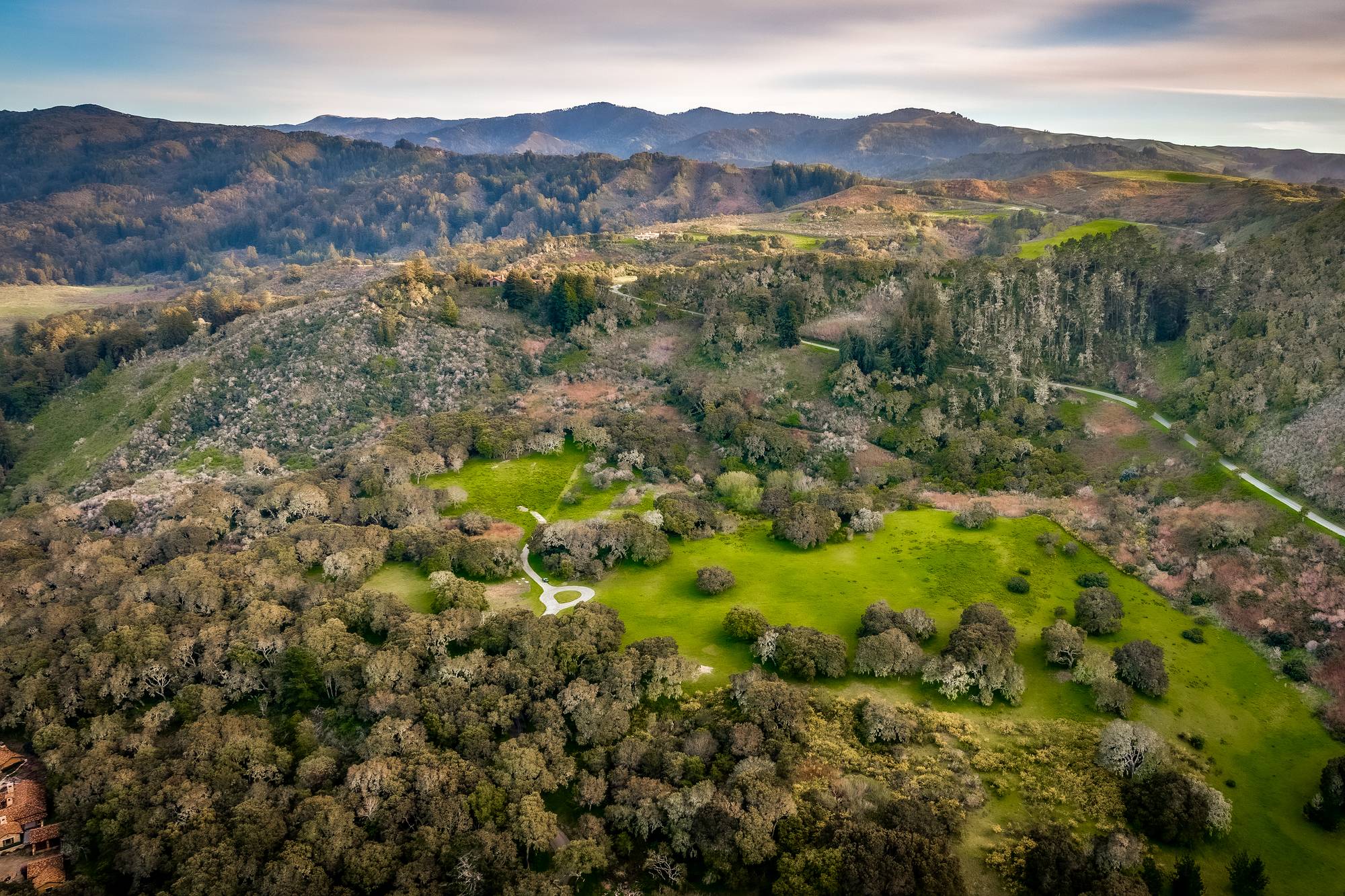 Aerial view of oak woodland and meadow in the Santa Lucia Preserve, Carmel